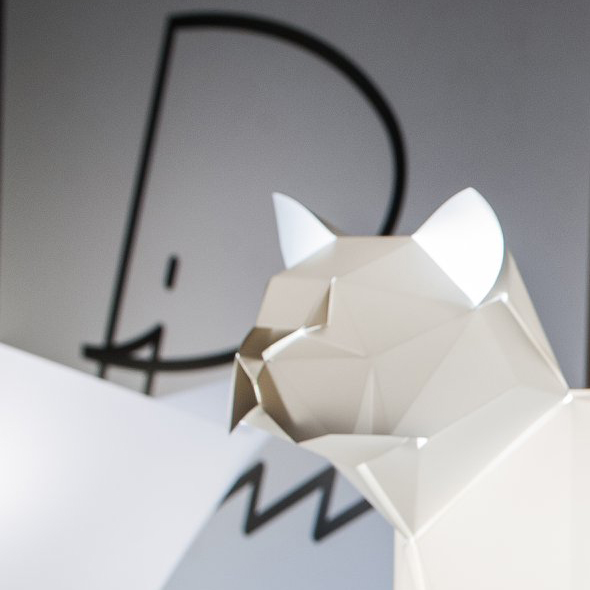 chat-marche-de-mons for PLIZOO