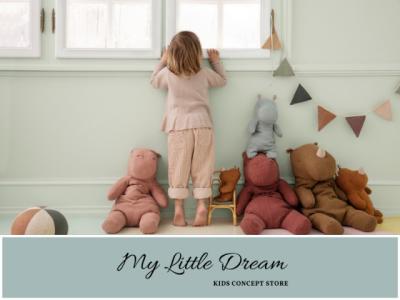 mylittledream-614ce1318764f-400 for My little dream