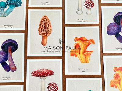 maison-paula-cartes-postales-champignons-400 for Maison Paula