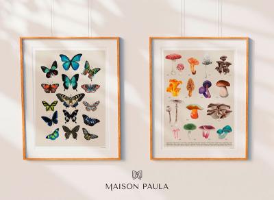 maison-paula-collection-affiches-illustrees-400 for Maison Paula