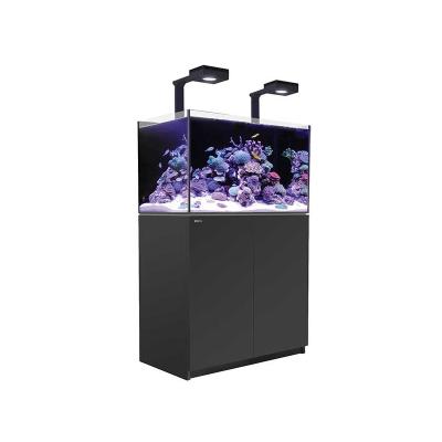 koral-aquarium-400 for Koral factory