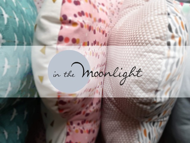 inthemoonlight-614ce076a8531 for In the moonlight