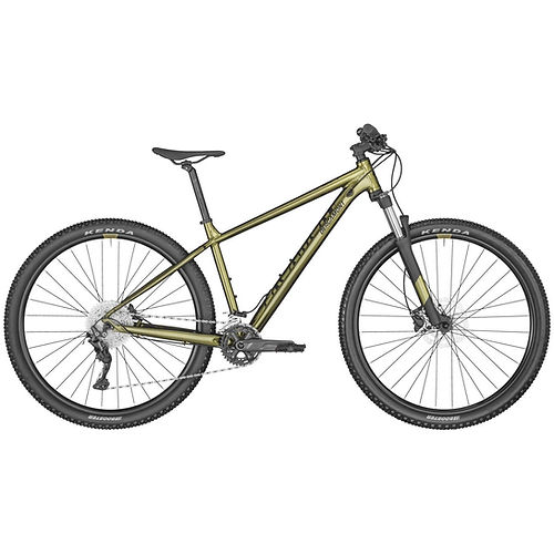 cyclespicoux-bergamont- for Cycles picoux