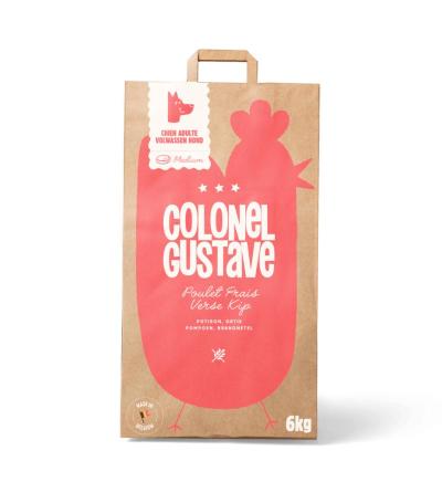 colonel-gustave-poulet-400 for Colonel gustave
