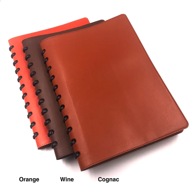 oleary-carnet for Michael Guérisse O'Leary