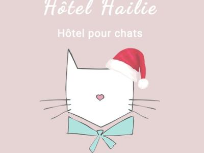 Hôtel Hailie - Hôtel pour chats