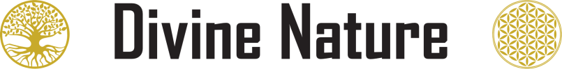 logo for Divine Nature