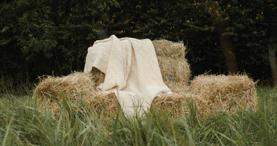 mouton-atelier-blanket-400 for Mouton Atelier