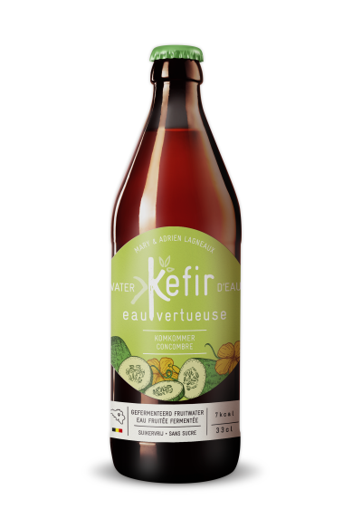 kefireauvertueuse-concombre-400 for Kefir Eau Vertueuse