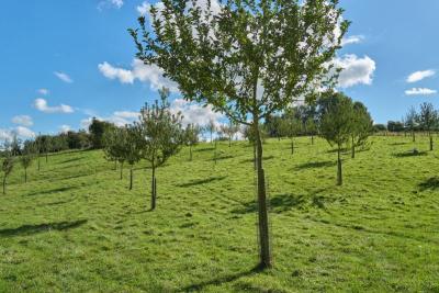 TERRES DE CROMPECHINE