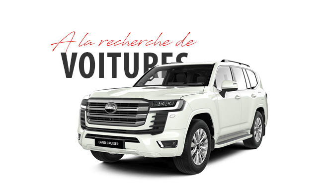 transautomobile-stock-4x4-pick-up-pickup-voit for Transautomobile