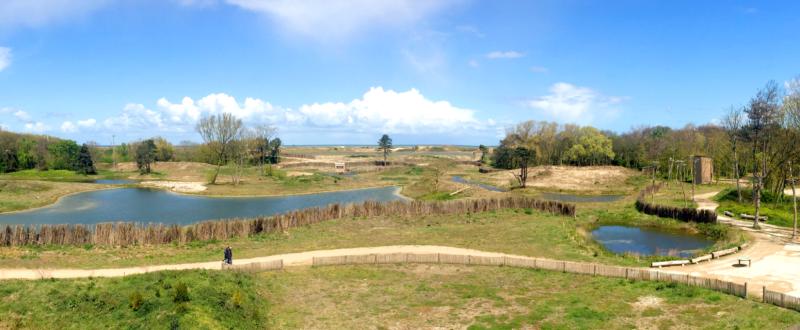 zwin-zwin-landscape-0 for Le ZWIN